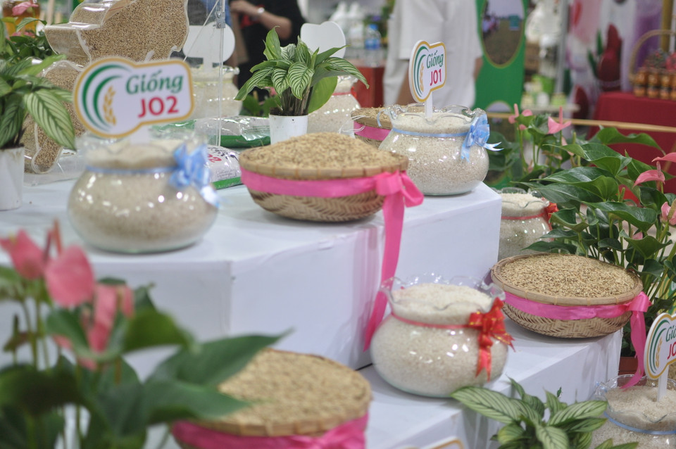  Các sản phẩm gạo chất lượng cao được giới thiệu tại festival. (Ảnh: Việt Đức/Vietnam+)
