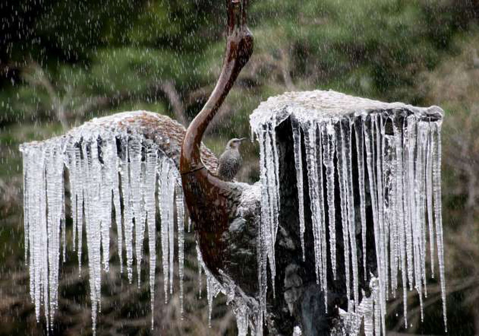 Con chim ở đài phun nước tại Tokyo bị đóng băng. (Nguồn: YOSHIKAZU TSUNO/AFP/Getty Images)