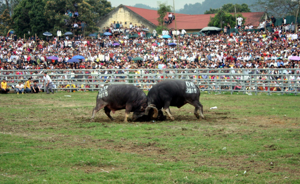 Lễ hội Âm nhạc và Điện ảnh vùng Tây Nam 2015 là lễ hội âm nhạc đặc sắc đã thoát ra khỏi những quy tắc điển hình của một lễ hội âm nhạc Mỹ, diễn ra vào mùa hè và mỗi tháng Ba. Không chỉ dựng lều bạt và sân khấu trên một khu vực rộng lớn ngoài trời, lễ hội còn diễn ra ngay tại những địa điểm âm nhạc nổi tiếng nhất tại thành phố Austin. (Nguồn: Bloomberg)