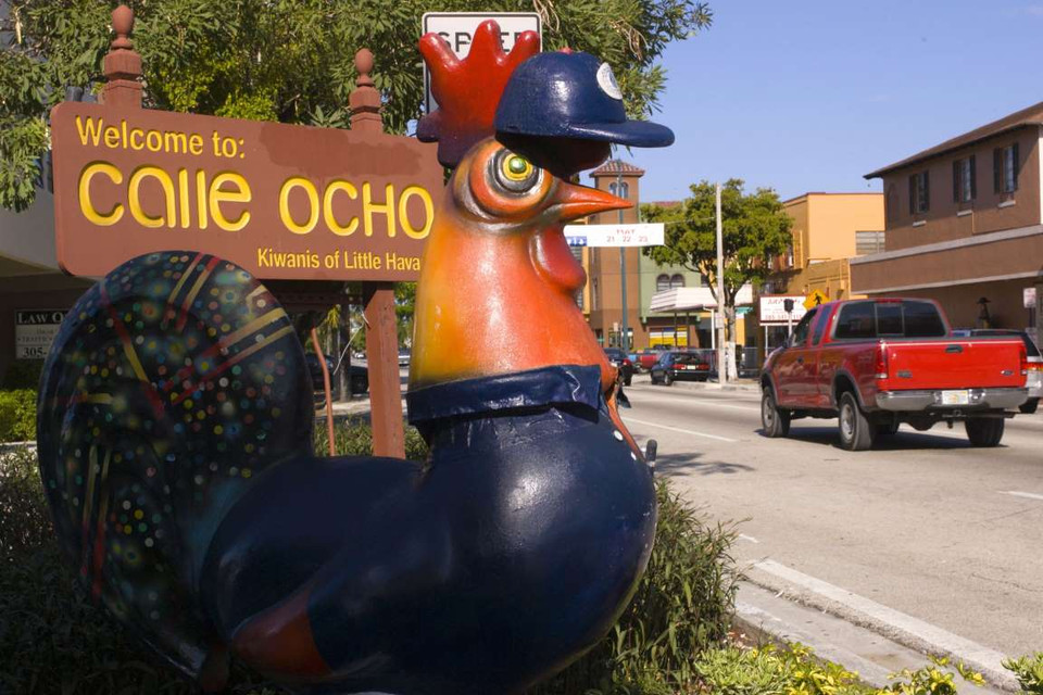 Khu vực tiệc tùng trải dài từ Calle Ocho đến Little Havana, với sự tham sự của hàng ngàn người. Họ đến đây để thưởng thức các món ăn Caribe, ca hát và nhảy múa hết mình trong lễ hội Calle Ocho. (Nguồn: REX)
