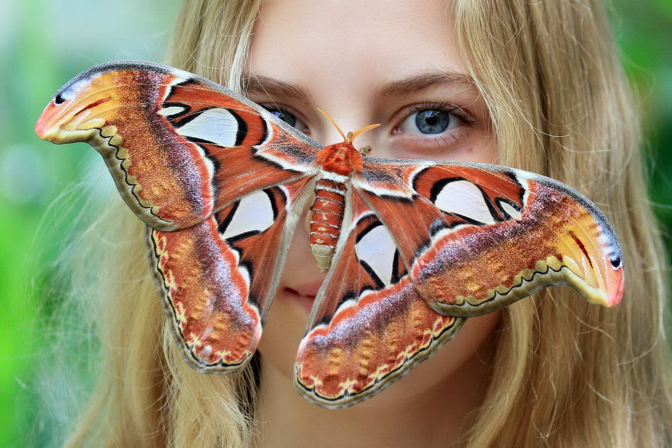 Khách du lịch thăm Vườn thực vật của Đại học Masaryk (Cộng hòa Séc). (Nguồn: AFP)