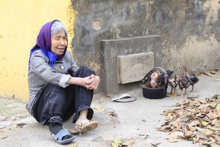 Từ ngày ông nhà mất đi, bà Ngô Thị Soạn (78 tuổi) sống hiu hắt bên đàn gà và vườn rau của mình. (Ảnh: Văn Quế/Vietnam+)