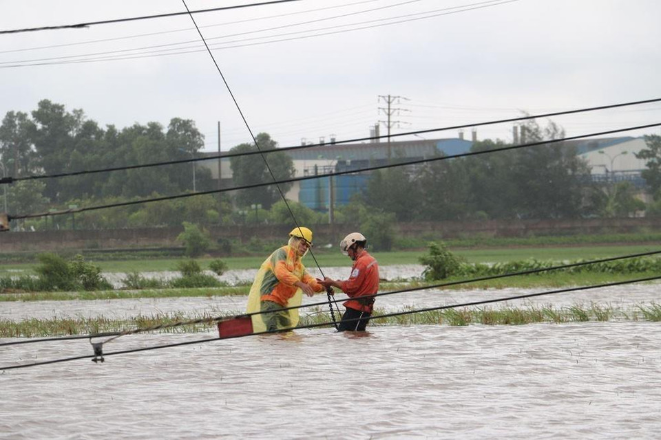 Công nhân Điện lực Kim Thành (Hải Dương) dầm mình trong mưa bão để khắc phục sự cố lưới điện. (Ảnh: Mạnh Minh/TTXVN)