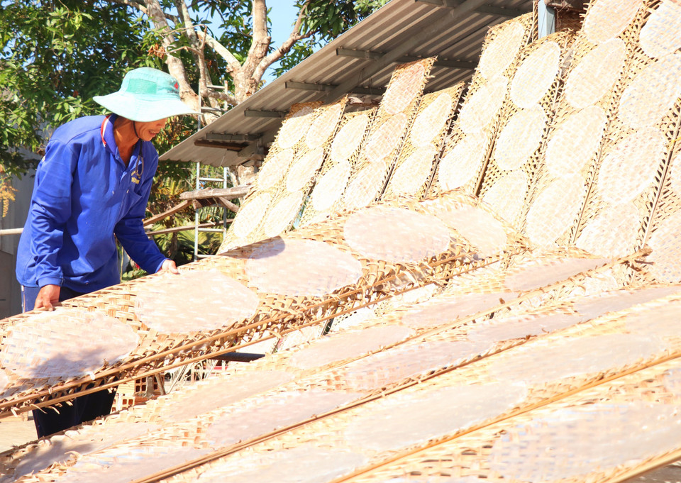 Với nắng đẹp như những ngày cận Tết, anh Lê Văn Của, khu vực Tân Phước, phường Thuận Hưng cho biết mỗi mẻ bánh chỉ cần phơi khoảng 30 phút là khô. (Ảnh: Thu Hiền/TTXVN)