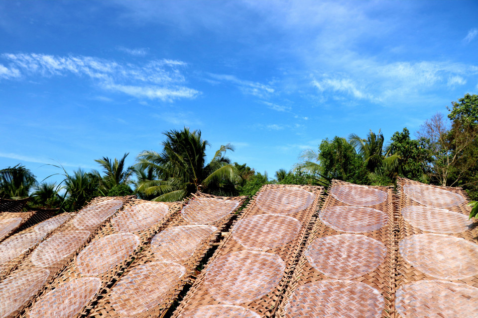 Những vỉ bánh tráng phơi dưới nắng đẹp như một bức tranh. (Ảnh: Thu Hiền/TTXVN)