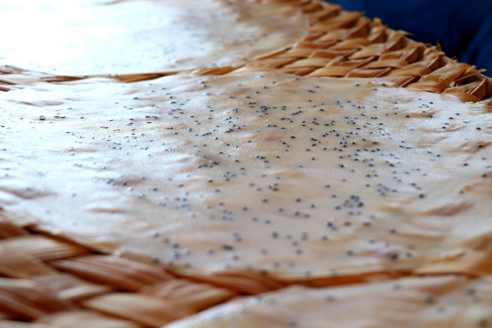 Bánh tráng dừa được làm từ bột gạo, mè, muối, nước cốt dừa là loại báng đặc trưng của Thuận Hưng. (Ảnh: Thu Hiền/TTXVN)