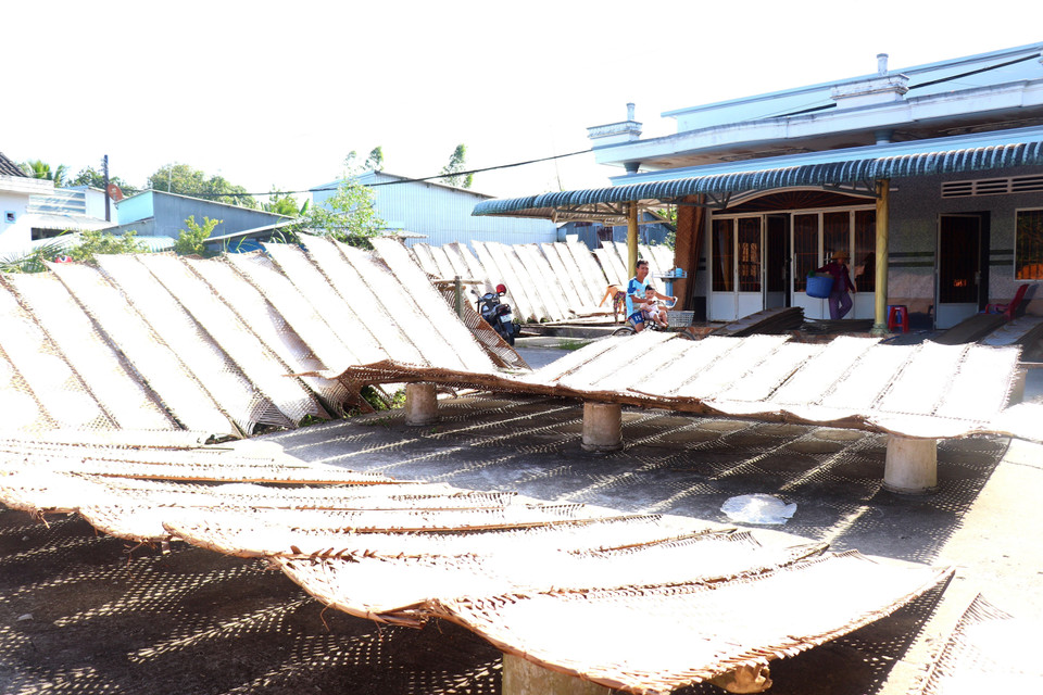 Lượng bánh tráng mùa Tết làm ra gấp 10 lần so với ngày thường nhưng vẫn không đáp ứng đủ đơn hàng. (Ảnh: Thu Hiền/TTXVN)