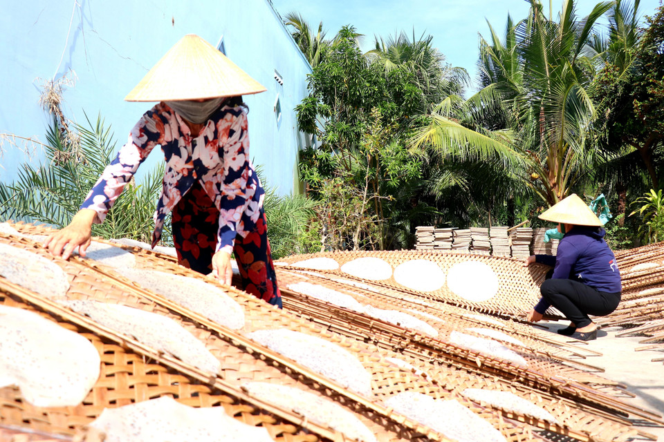 Những chiếc bánh tráng mỏng manh, đơn giản trải nhiều công đoạn khó, nhưng khó nhất là phải phụ thuộc vào thời tiết để có được những sản phẩm ngon nức tiếng gần xa. (Ảnh: Thu Hiền/TTXVN)