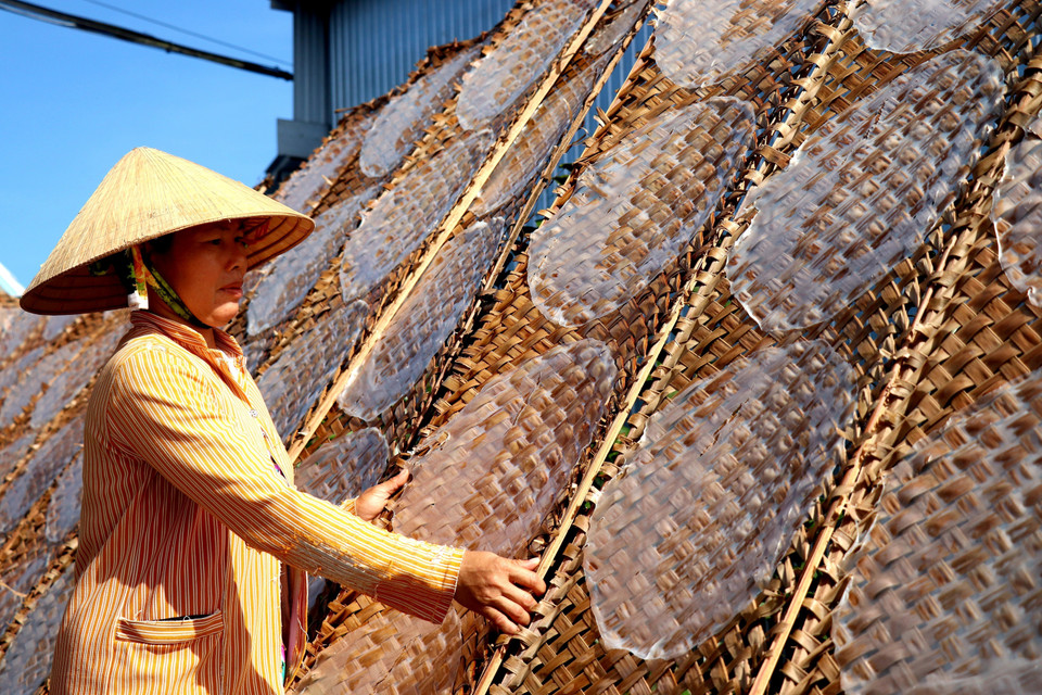 Vụ Tết, mỗi ngày lò bánh tráng của chị Ngô Thị Bích Liên, khu vực Tân Thạnh sử dụng 120kg gạo để tráng bánh. (Ảnh: Thu Hiền/TTXVN)