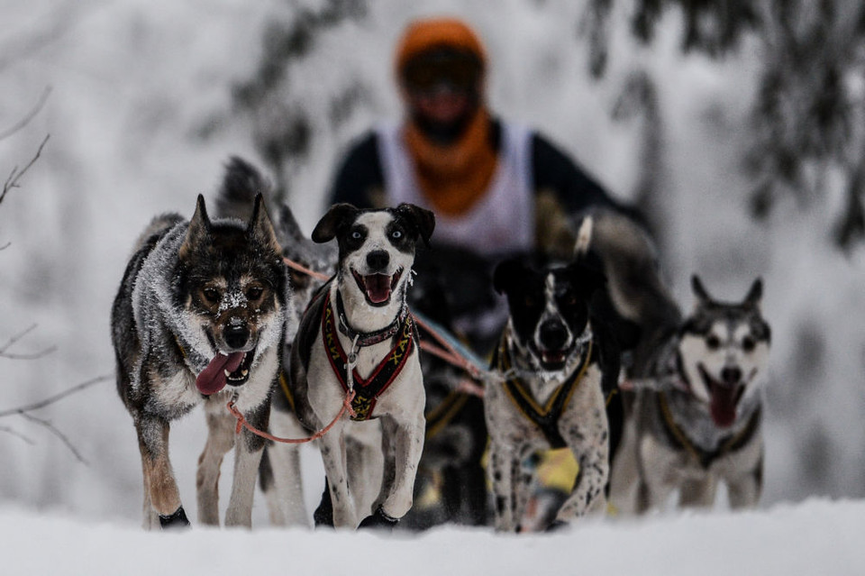 Các thí sinh tham gia sẽ phải hoàn thành những quãng đường ngắn (từ 6 - 10km) và những quãng trung bình (40km). (Nguồn: Sputniknews)