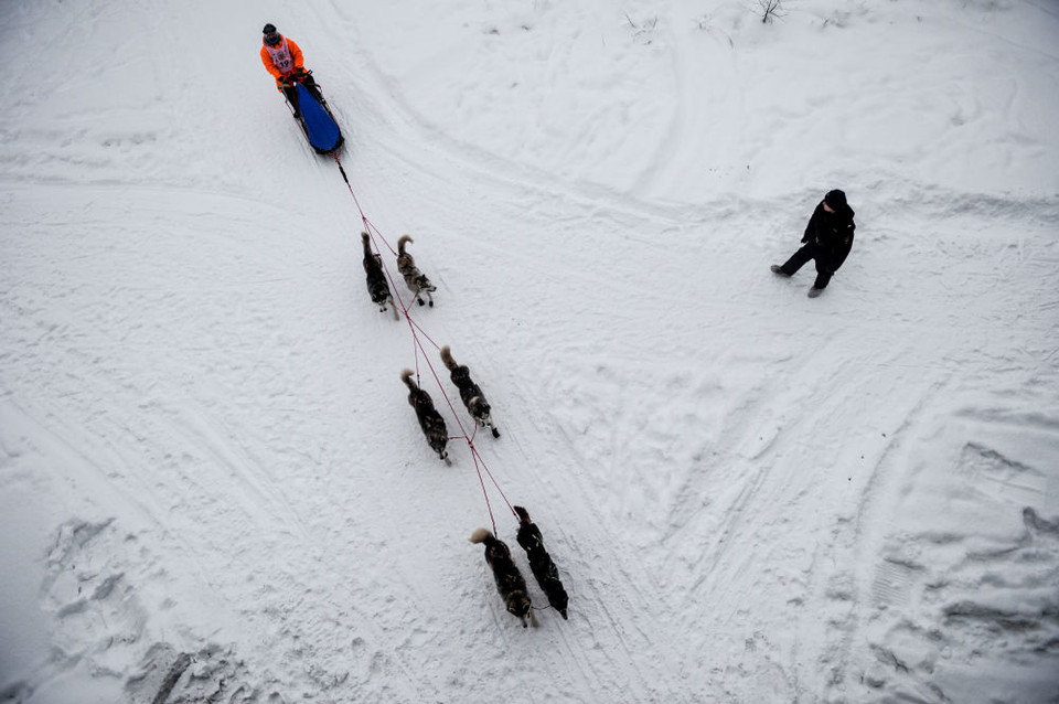 Một thí sinh tham gia cuộc thi với những người bạn bốn chân. (Nguồn: Sputniknews)
