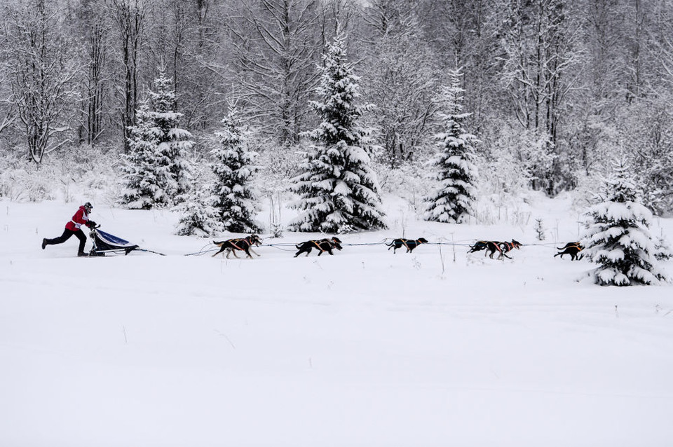 Một đội đua tham gia cuộc thi. (Nguồn: Sputniknews)