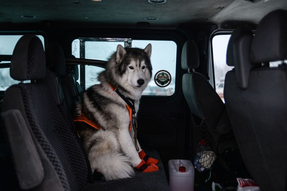 Một trong những 'vận động viên' tham gia cuộc đua. (Nguồn: Sputniknews)