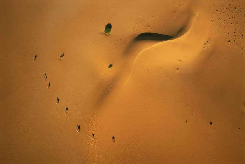 Araouane, Mali (54 độ C). (Nguồn: Corbis)