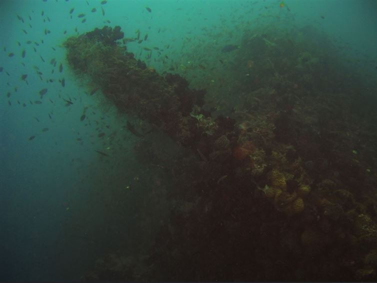 Con tàu đắm Yongala, Australia bị bão đánh chìm cách đây 100 năm, kéo theo số phận của 121 người. Chiếc tàu vẫn được nước biển bảo toàn hầu như nguyên vẹn ở độ sâu 30m ngoài khơi cách Town Sville 60km. (Nguồn: flickr/Rich1968)