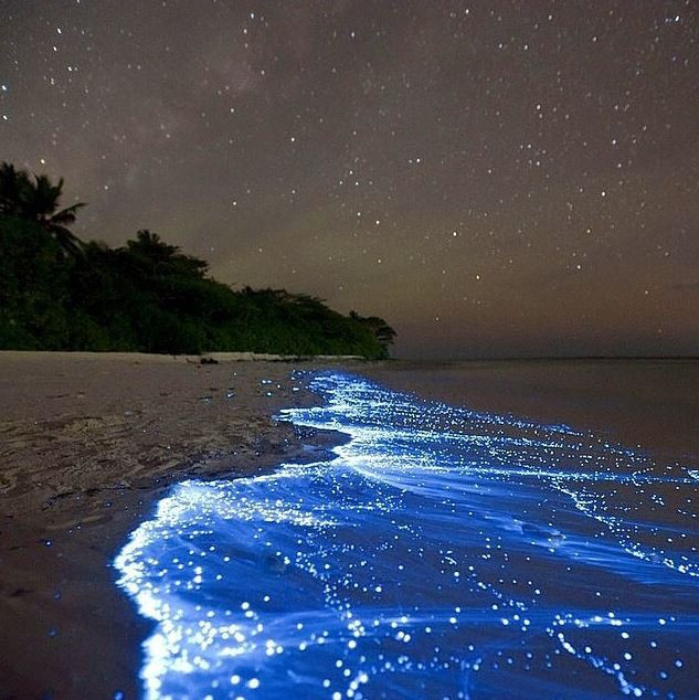 Đảo Vaadhoo, Maldives là xứ sở thần tiên được nhắc đến với cảnh biển đêm thu hút du khách với những vì sao sáng in bóng trên mặt biển hiền hòa, những luồng ánh sáng đó được tạo nên từ những sinh vật phù du phát sáng lẫn trong nước biển bị sóng đánh dạt lên bãi cát . (Nguồn: flickr / Jasonvon)