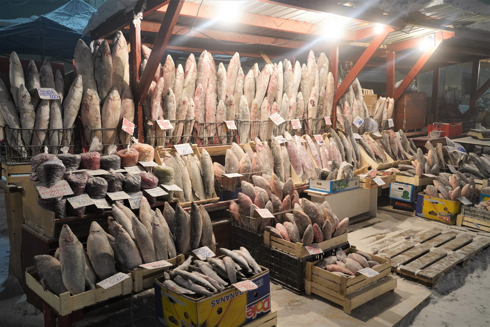 Cá là đặc sản của Yakutst nhờ con sông Lena hùng vĩ, cá trong mùa đông có thể bào ra ăn ngay. (Ảnh: Duy Trinh/TTXVN)