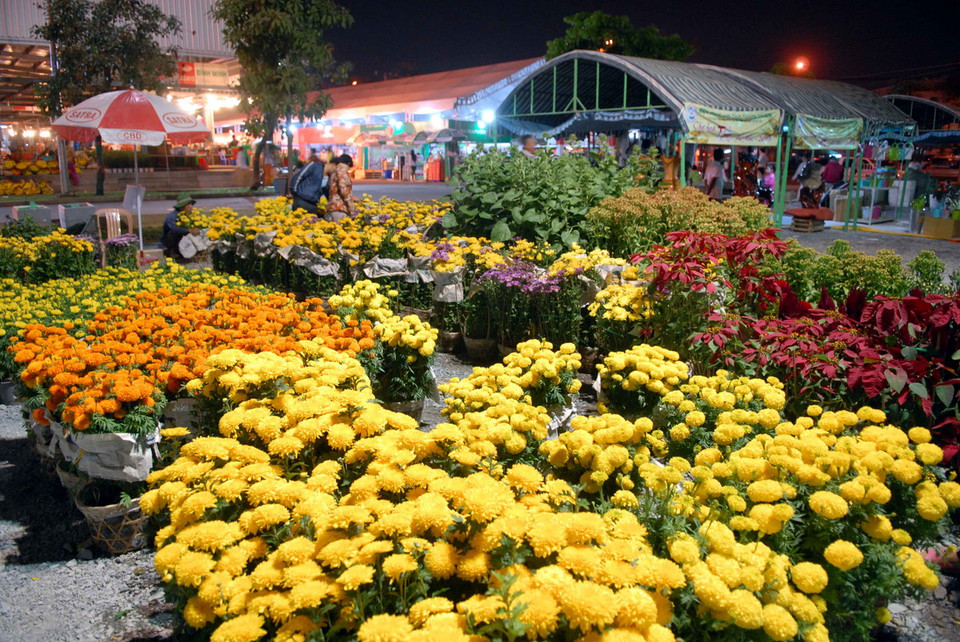 Các nhà vườn bán hoa Tết tại Chợ hoa Xuân Bình Điền 2015. (Ảnh: Mạnh Linh/TTXVN) 