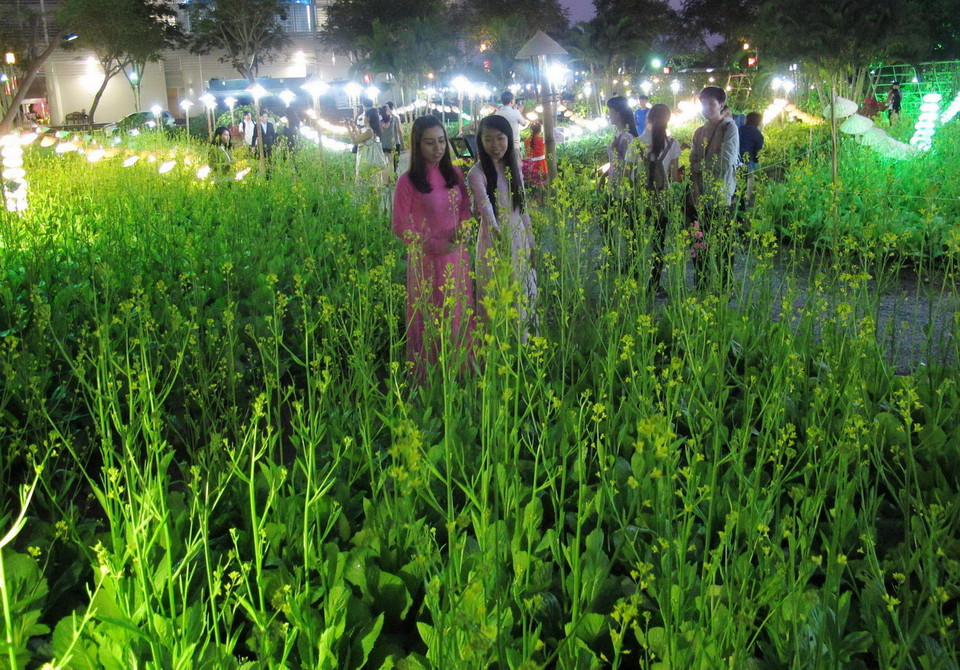 Khách tham quan Hội chợ hoa Xuân Phú Mỹ Hưng Tết Ất Mùi 2015. (Ảnh: Phương Vy/TTXVN) 