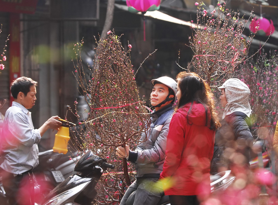 Có rất nhiều loại hoa được bày bán ở chợ hoa Hàng Lược, nhưng được ưa chuộng nhất vẫn là những cây đào, cành đào đủ kiểu, đáp ứng nhu cầu mua sắm của người dân. (Ảnh: Minh Đức/TTXVN) 