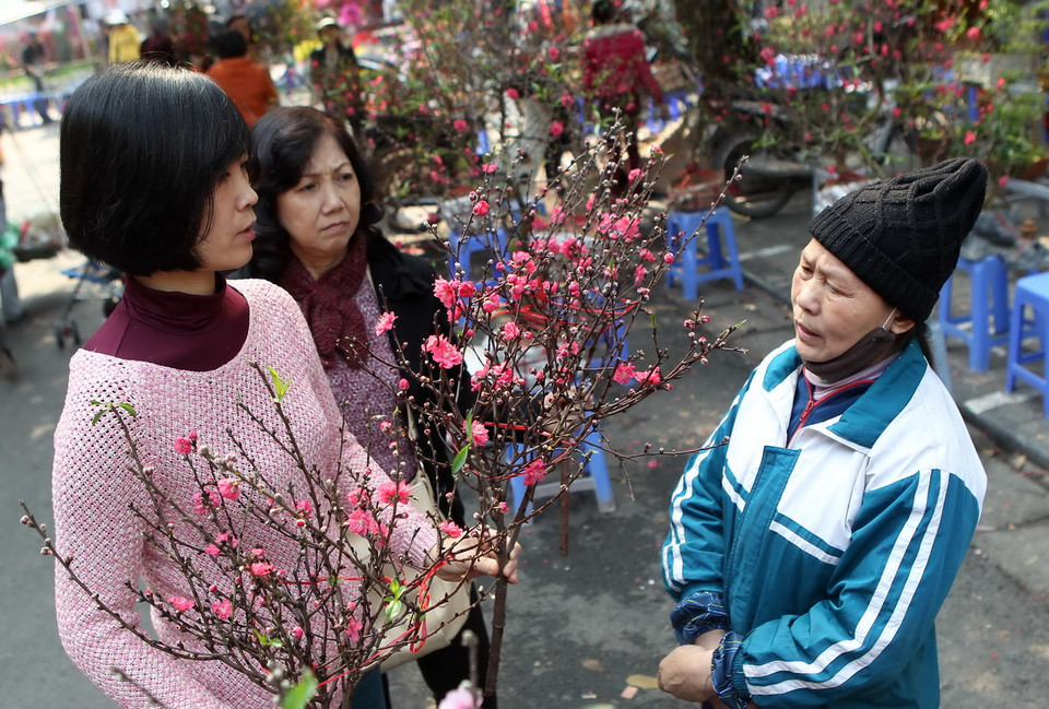 Hai mẹ con chọn mua hoa đào tại chợ hoa Hàng Lược. (Ảnh: Quốc Khánh/TTXVN)