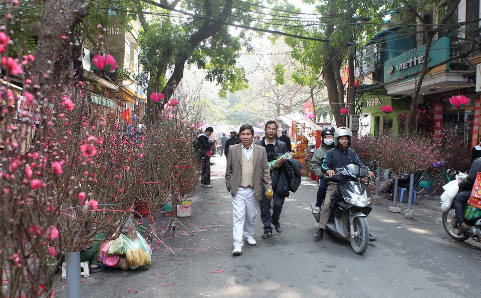 Từ 23 tháng Chạp, chợ hoa Hàng Lược bắt đầu họp, thu hút đông đảo người dân đến chọn mua hoa. (Ảnh: Quốc Khánh/TTXVN)