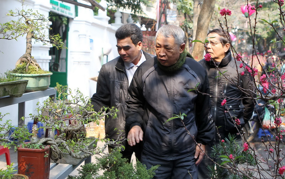 Nhiều người cao tuổi tìm đến với các loại cây thế. (Ảnh: Quốc Khánh/ TTXVN)