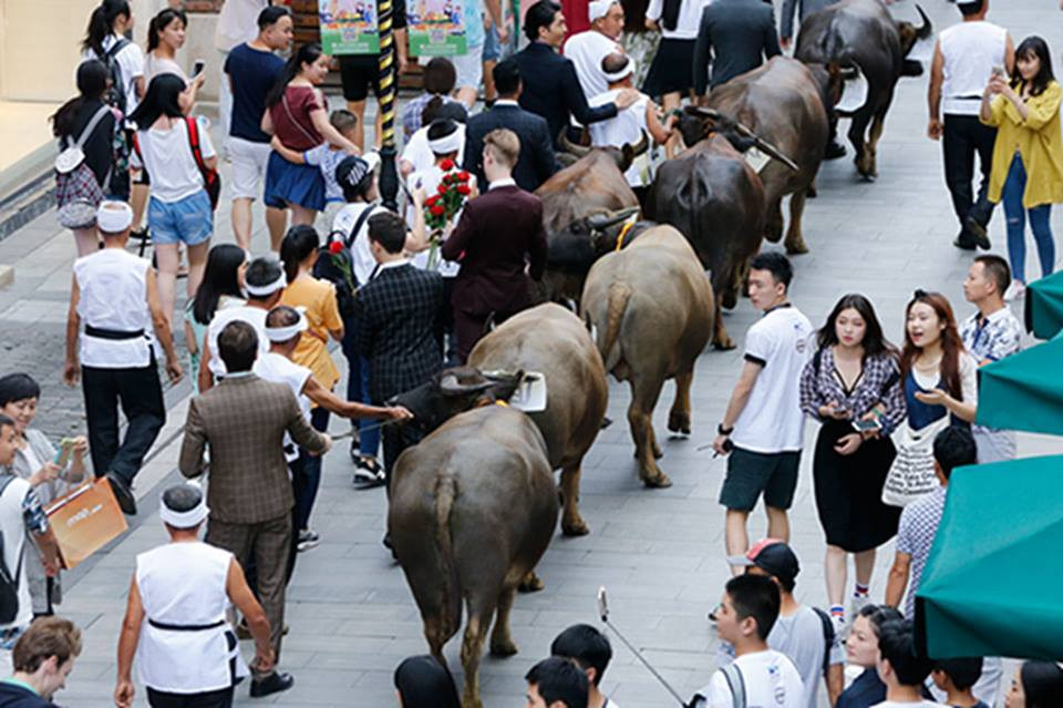 Ngày 7/7 âm lịch còn được biết đến là ngày Valentine của người Hoa, khoảng thời gian để các bạn trẻ Trung Quốc tỏ tình với nhau. (Nguồn: CCTVNews)