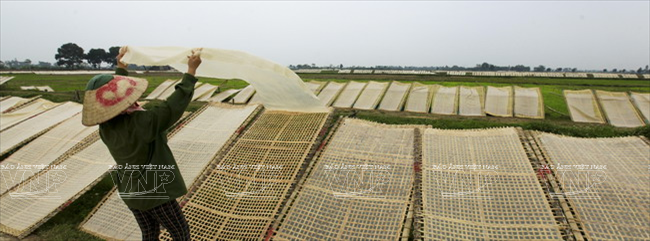  Nghề làm miến ở làng So (xã Cộng Hoà, Quốc Oai, Hà Nội) là nghề truyền thống kế thừa từ các thế hệ trong làng để lại. (Ảnh: Việt Cường/Báo ảnh Việt Nam)