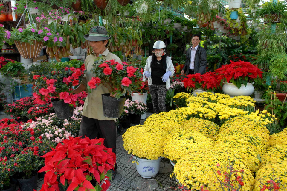 Các gian hàng bán hoa Tết trên đường Bắc Hải (Quận 10, TP Hồ Chí Minh). (Ảnh: Mạnh Linh/TTXVN) 
