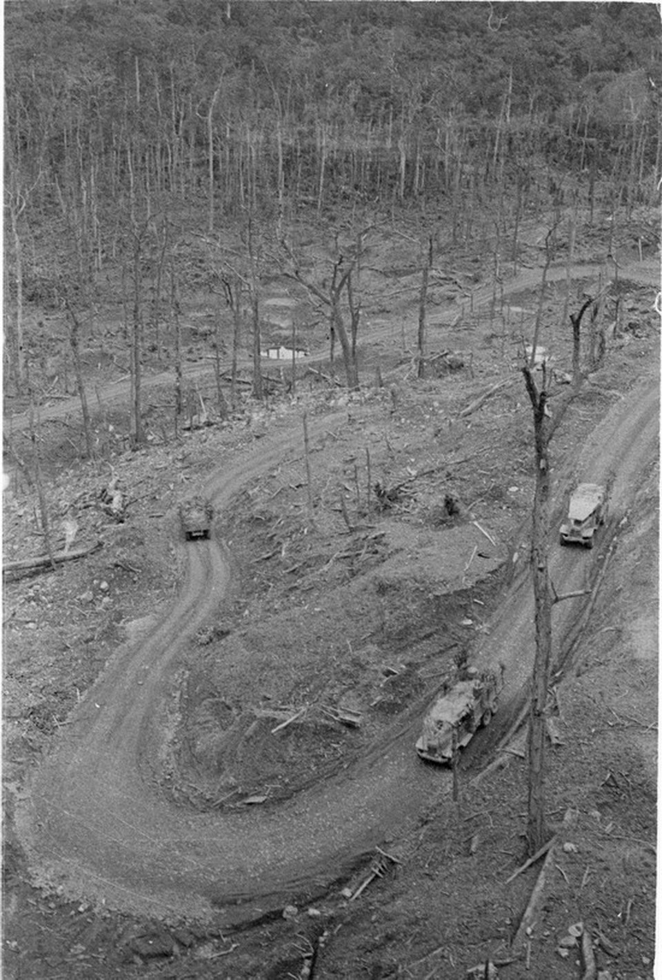 Từng đoàn xe ngày đêm nối nhau ra tiền tuyến trên con đường huyền thoại - Đường Trường Sơn, đường mang tên Bác Hồ vĩ đại, con đường nối liền hai miền Bắc Nam. (Ảnh: TTXVN)