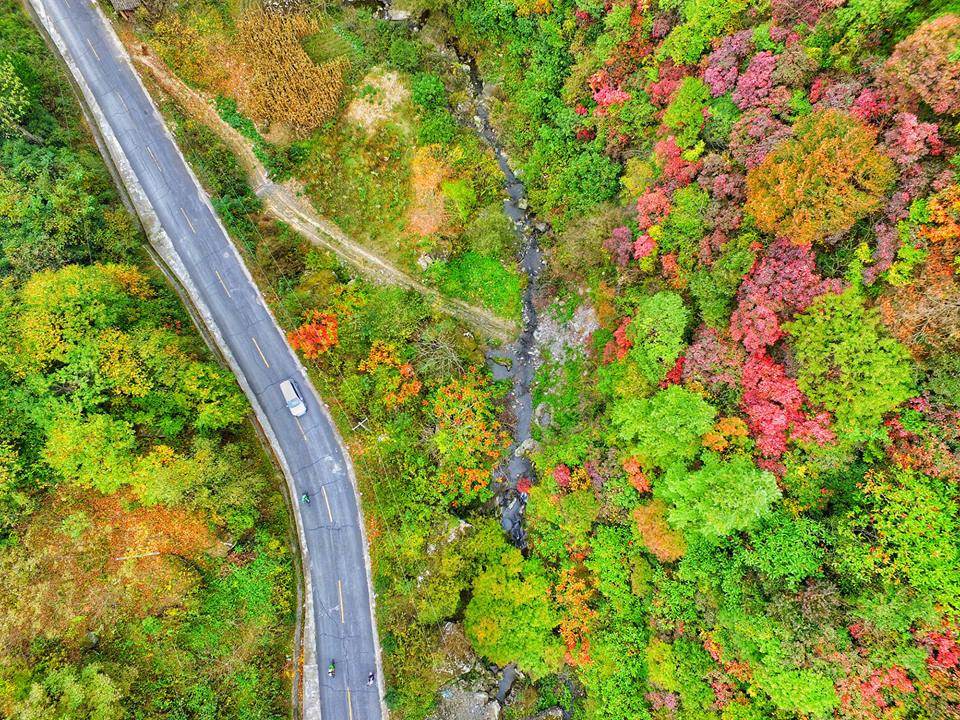 Nhiều khách tham quan sẽ phải ngỡ ngàng trước cảnh tượng mùa Thu trên núi Quinling ở Hán Trung, Thiểm Tây, Trung Quốc. (Nguồn: CCTVNews)