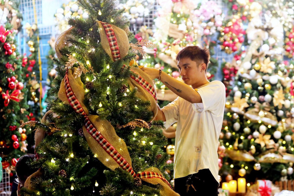 Giá cây thông có sự biến động nhẹ so với năm ngoái, các loại cây nhỏ và vừa thường có giá từ 200.000 đồng-500.000 đồng. Riêng những loại cây thông to, cao và được trang trí cầu kỳ hơn có giá đến vài triệu đồng. (Ảnh: Thành Đạt/TTXVN)