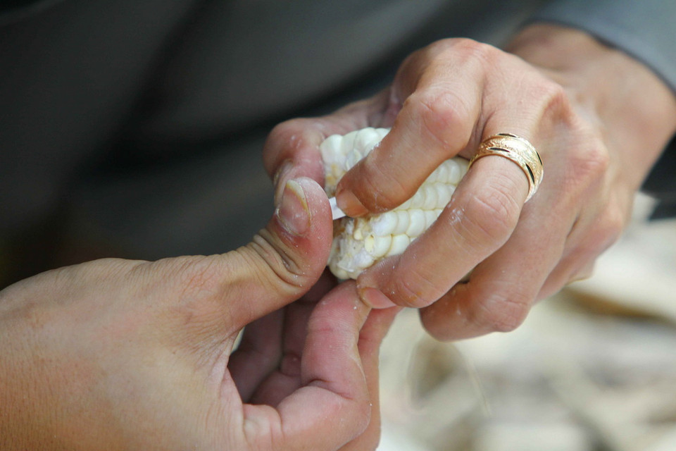 Thuốc kháng sinh được cho vào thức ăn để chữa trị vết thương cho voi. (Ảnh: Dương Giang/TTXVN) 