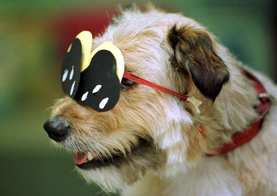 Người dân nhiều nước châu Âu đã được chứng kiến hiện tượng nhật thực. Ở vùng đảo Svalbard của Na Uy và tại Đan Mạch, người ta có thể nhìn thấy mặt trời hoàn toàn bị che khuất. (Nguồn: Corbis)