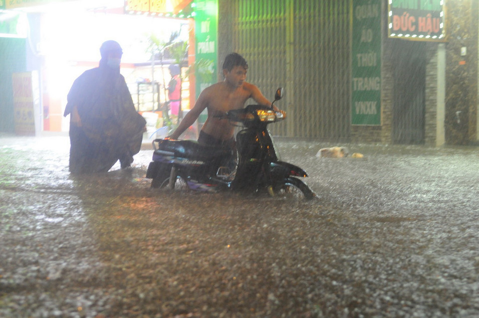 (Ảnh: Linh Dự/Vietnam+)