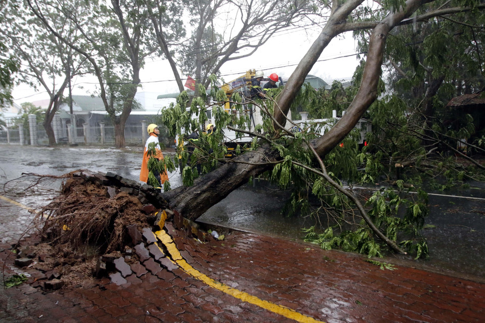 Gió bão làm bật gốc một số cây xanh trên tuyến đường Duyên Hải, thị trấn Cần Thạnh, huyện Cần Giờ, Thành phố Hồ Chí Minh. (Ảnh: Hoàng Hải/TTXVN)