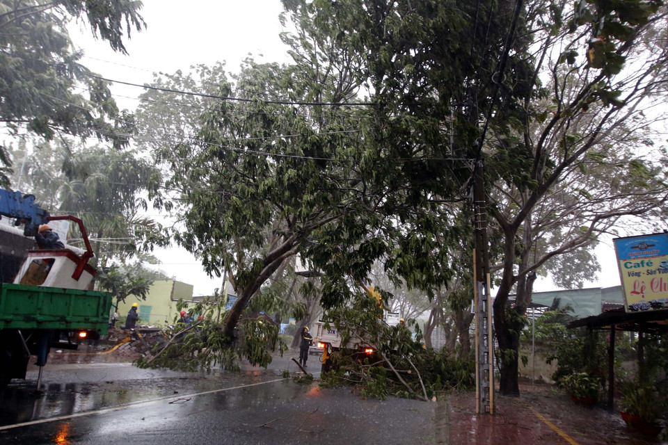 Gió bão làm bật gốc một số cây xanh trên tuyến đường Duyên Hải, thị trấn Cần Thạnh, huyện Cần Giờ, Thành phố Hồ Chí Minh. (Ảnh: Hoàng Hải/TTXVN)