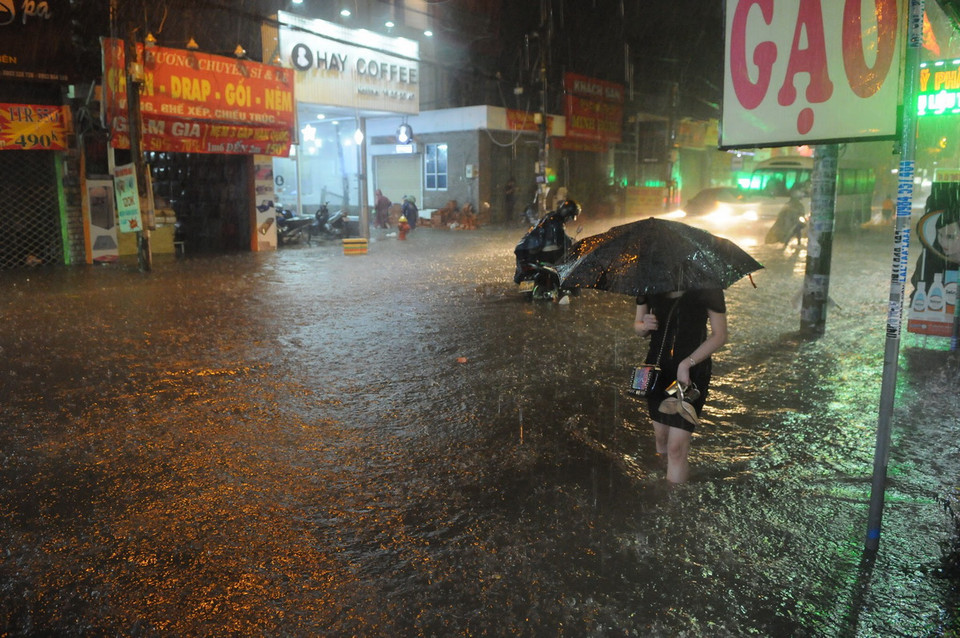 (Ảnh: Linh Dự/Vietnam+)