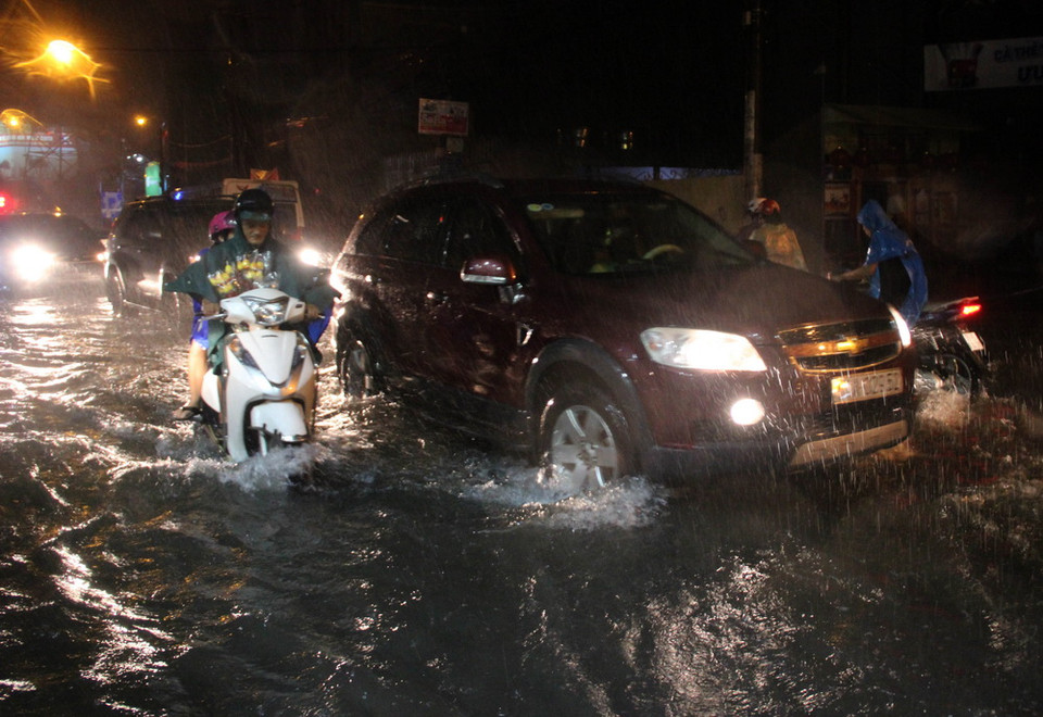 (Ảnh: Linh Dự/Vietnam+)