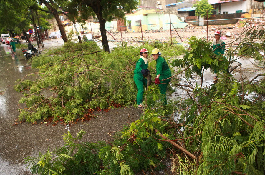Nhân viên vệ sinh môi trường Hải Phòng khắc phục hậu quả do bão số 1 gây ra. (Ảnh: Lâm Khánh/TTXVN)
