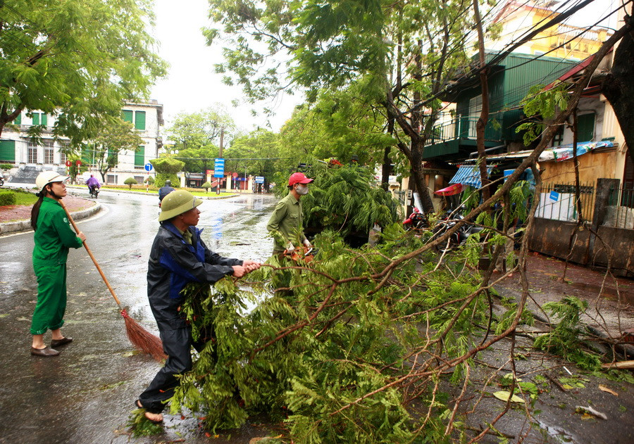 Nhân viên vệ sinh môi trường thành phố Hải Phòng khắc phục hậu quả do bão số 1 gây ra. (Ảnh: Lâm Khánh/TTXVN)