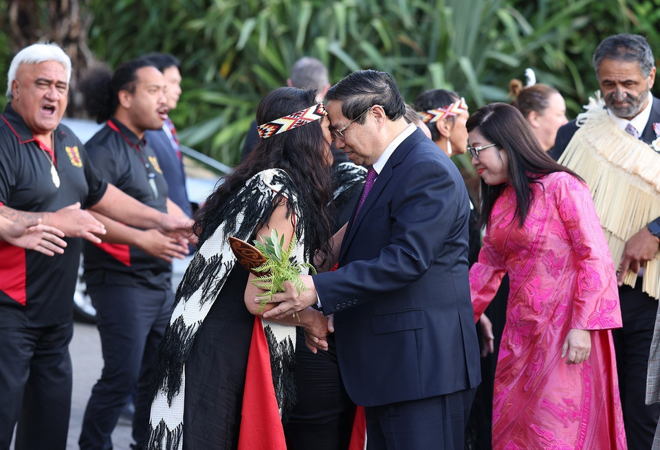 Nghi thức truyền thống chào đón khách quý của thổ dân Maori. (Ảnh: Dương Giang/TTXVN)