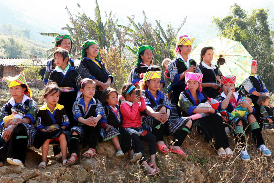 Bờ ruộng thành ghế ngồi trên 'khán đài.' (Nguồn: Vietnam+)