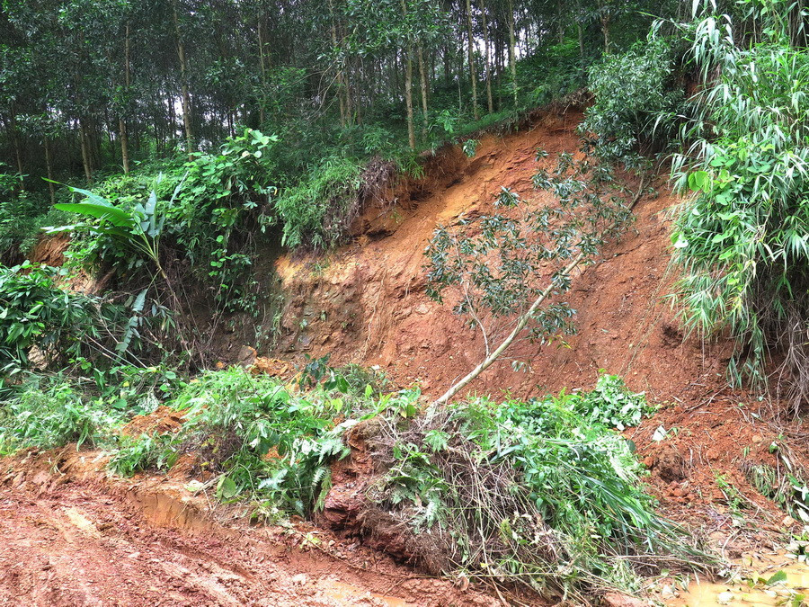 Một điểm sạt lở. (Ảnh: Minh Tâm/TTXVN)