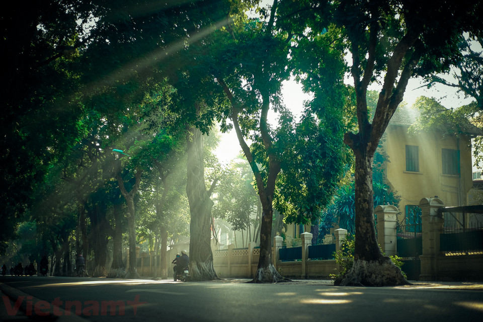 (Ảnh: Hoàng Long-Võ Phương/Vietnam+)