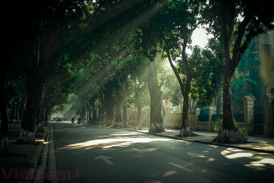 Phố Phan Đình Phùng lặng lẽ nép mình dưới những tán cây. (Ảnh: Hoàng Long-Võ Phương/Vietnam+)
