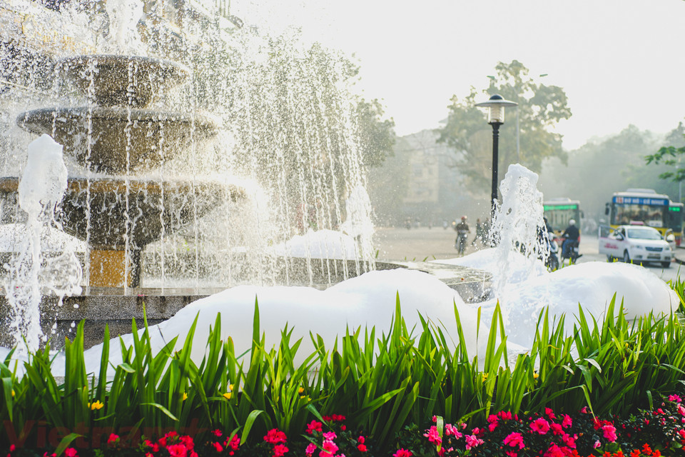 (Ảnh: Hoàng Long-Võ Phương/Vietnam+)