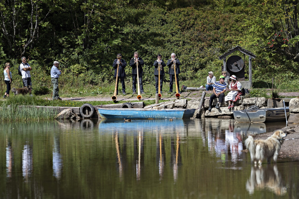 Từ thế kỷ 19, những người du mục vùng Alpes đã dùng loại khí cụ này để liên lạc với nhau giữa các vùng núi xa xôi hoặc để gọi đàn gia súc trở về. (Nguồn: THX/TTXVN)