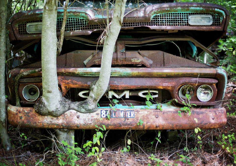 Cây mọc phía trên chiếc xe tải GMC. Chiếc xe này xuất hiện từ năm 1953 và hiện đang có mặt tại thành phố xe cổ. (Nguồn: sputniknews)
